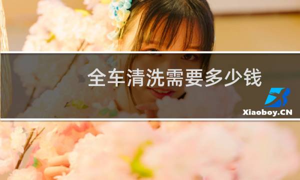 全车清洗需要多少钱 - 车整体拆开清洗多少钱