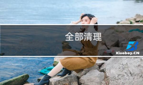 全部清理 - 全部清理掉