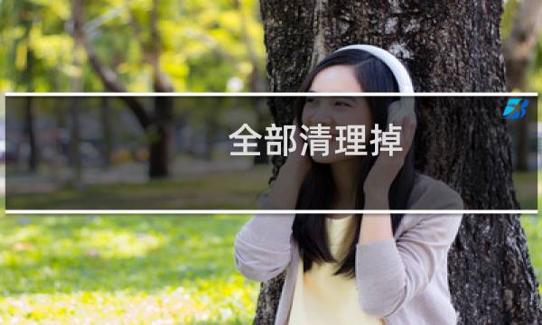 全部清理掉 - 全部清掉垃圾