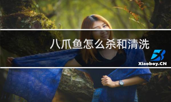 八爪鱼怎么杀和清洗 - 活八爪鱼怎么杀死
