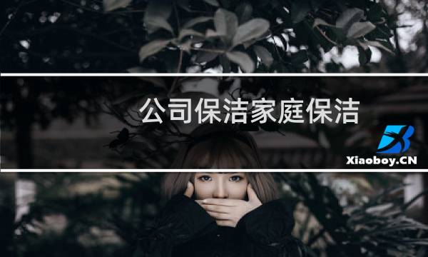 公司保洁家庭保洁 - 个人家政保洁