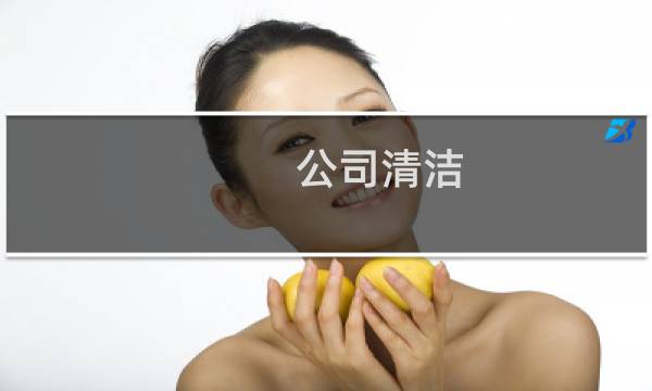 公司清洁 - 清洁服务有限公司