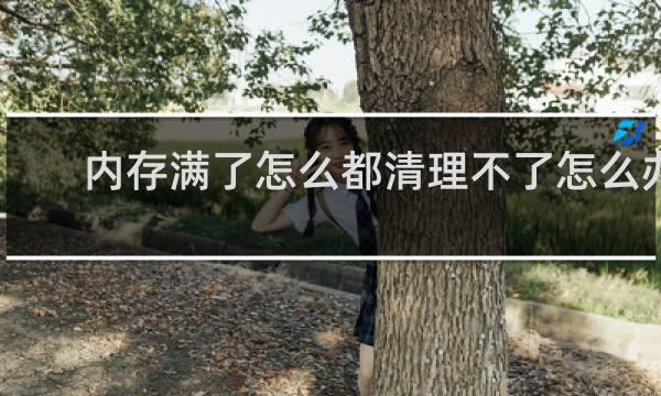 内存满了怎么都清理不了怎么办 - 怎么才能清理干净手机内存