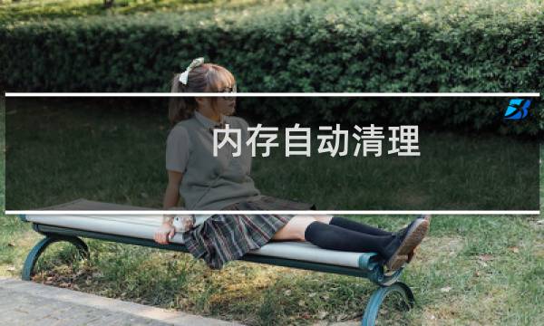 内存自动清理 - 内存清理工具