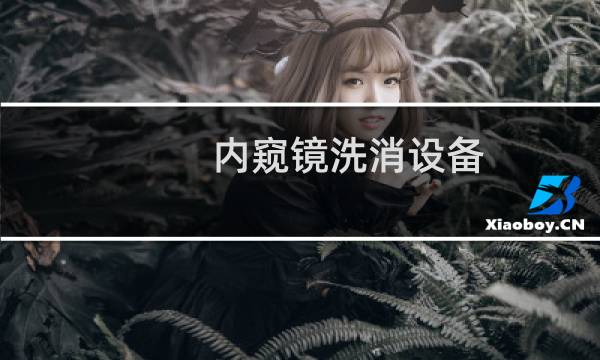 内窥镜洗消设备 -