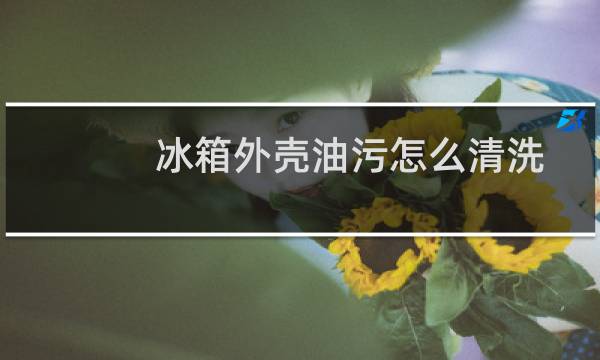 冰箱外壳油污怎么清洗 - 冰箱门上的油渍怎么去除