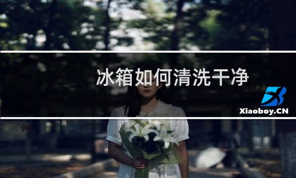 冰箱如何清洗干净 - 冰箱怎样清洗才干净杀菌