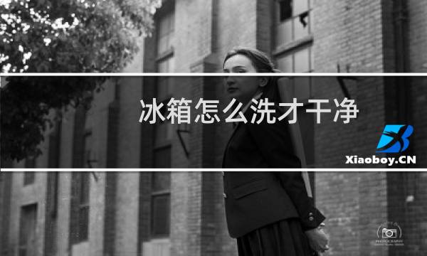 冰箱怎么洗才干净 - 冰箱洗得干净