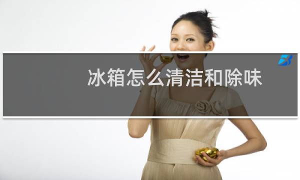 冰箱怎么清洁和除味 - 冰箱又脏又臭怎么清洗