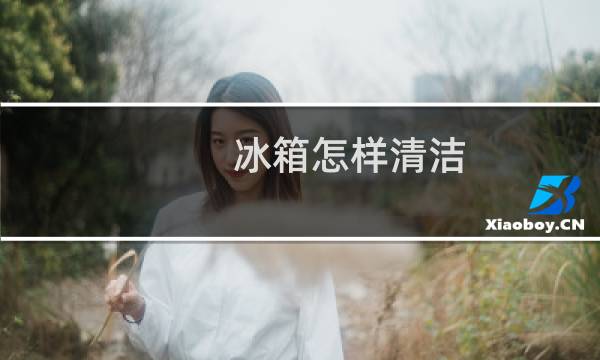 冰箱怎样清洁 - 冰箱如何杀菌清洁