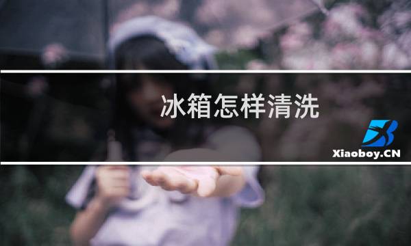 冰箱怎样清洗 - 冰箱怎样清洗才干净杀菌