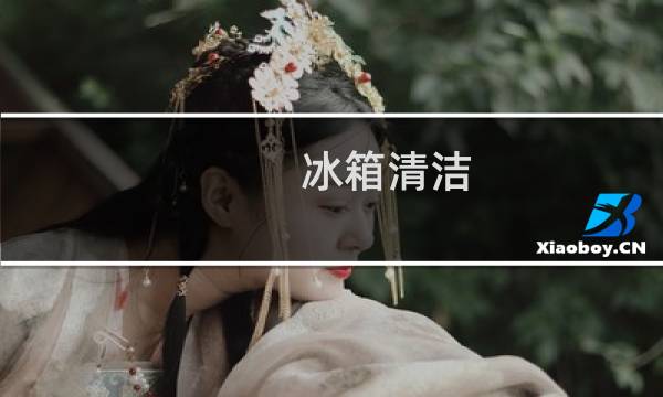 冰箱清洁 - 冰箱怎样清洗才干净杀菌
