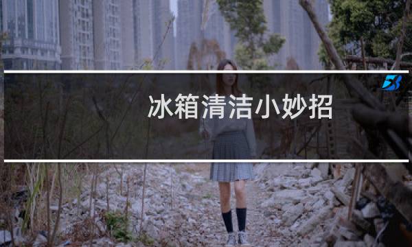 冰箱清洁小妙招 - 清洁冰箱怎么清洁干净