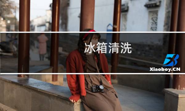 冰箱清洗 - 冰箱到处都是活蛆