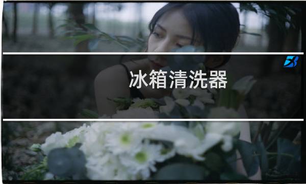 冰箱清洗器 - 冰箱清洁器怎么用