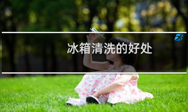 冰箱清洗的好处 - 冰箱定期清洁的好处
