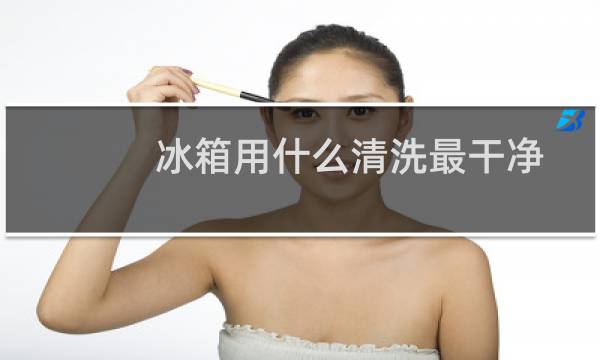 冰箱用什么清洗最干净 - 冰箱怎样清洗才干净杀菌