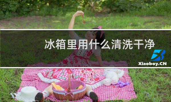 冰箱里用什么清洗干净 - 冰箱怎样清洗才干净杀菌