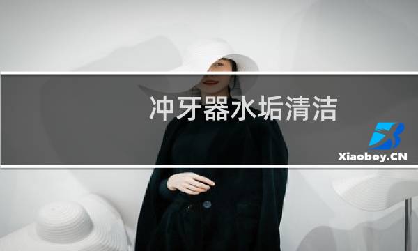 冲牙器水垢清洁 - 洁碧冲牙器清洗水垢方法