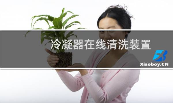 冷凝器在线清洗装置 - 制冷机组在线清洗装置