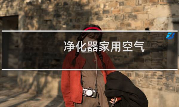 净化器家用空气 - 来为家用空气净化器
