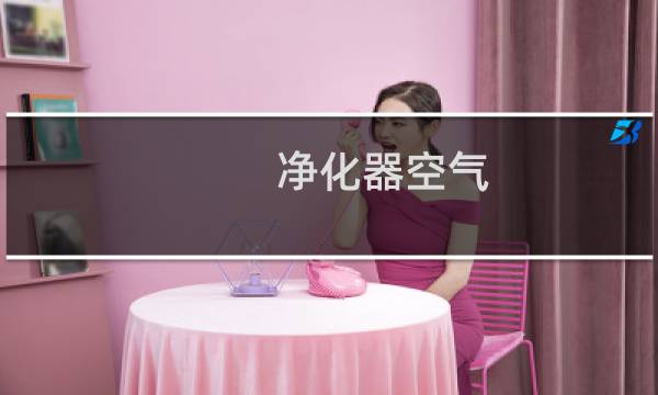 净化器空气 - 空气净化器是