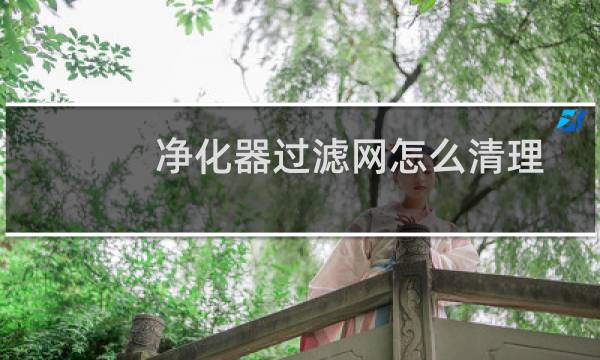 净化器过滤网怎么清理? - 空气净化器过滤网可以用水洗吗
