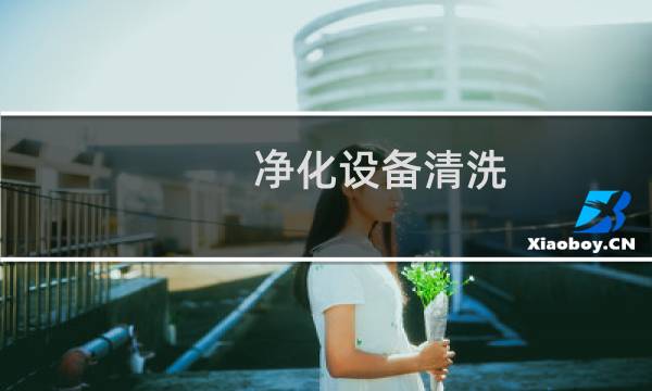 净化设备清洗 - 酒店油烟净化设备怎么清洗