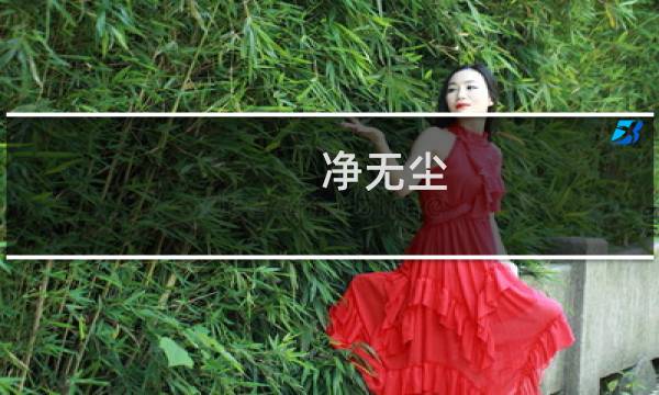 净无尘 - 净无尘的小说
