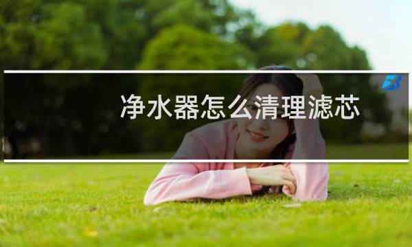 净水器怎么清理滤芯 - 净水器滤芯怎么拧下来