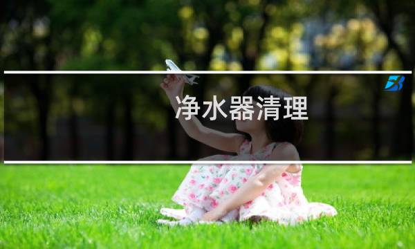 净水器清理 - 自己如何清洗净水器