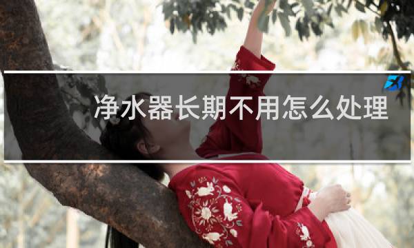 净水器长期不用怎么处理 - 净水器一年没用还能用吗