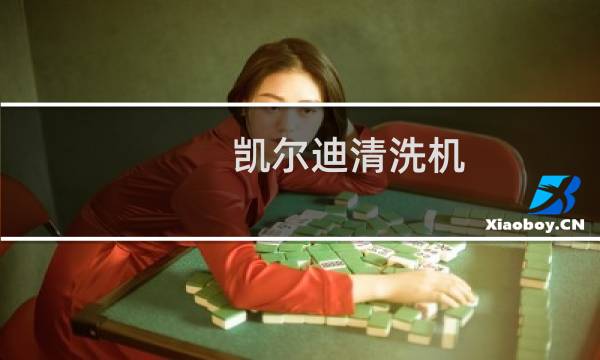 凯尔迪清洗机 - 凯尔迪离线清洗机说明书