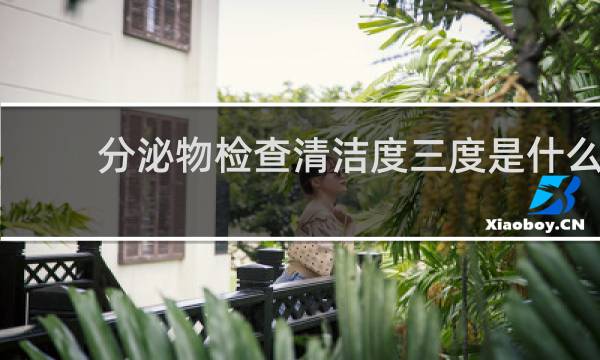 分泌物检查清洁度三度是什么 - 白带常规清洁度三度严重吗
