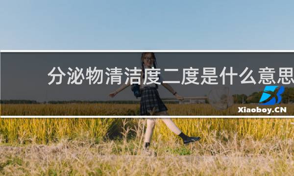 分泌物清洁度二度是什么意思 - 清洁度I II III度什么意思