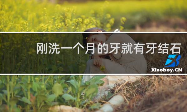 刚洗一个月的牙就有牙结石 - 洗牙不到三个月就长结石