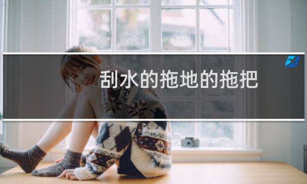 刮水的拖地的拖把 - 刮水的拖地的拖把具体名称