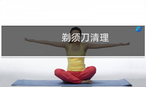 剃须刀清理 - 手动剃须刀清理
