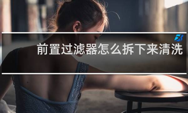 前置过滤器怎么拆下来清洗 - 前置过滤器如何拧下来