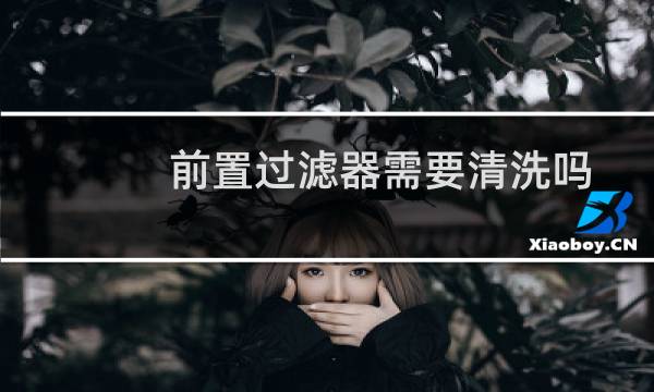 前置过滤器需要清洗吗 - 前置过滤器两年没清洗