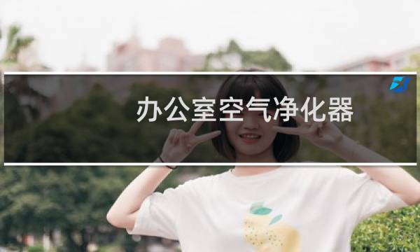 办公室空气净化器 - 办公室空气净化器有用吗