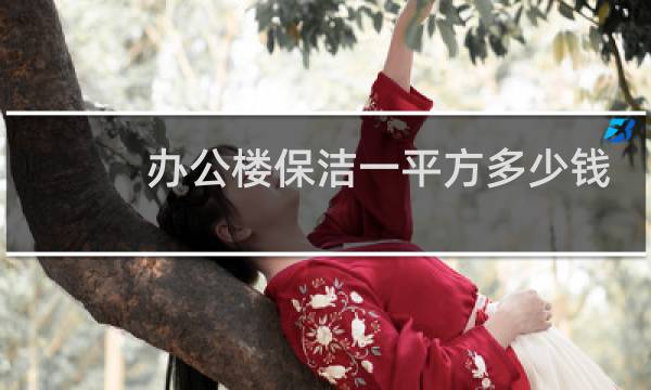办公楼保洁一平方多少钱 - 办公楼多少面积配一个保洁员