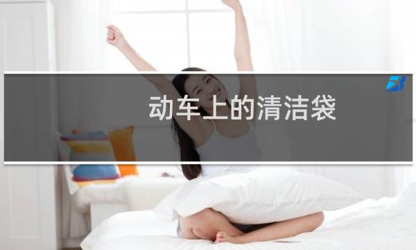 动车上的清洁袋 - 高铁清洁袋用完放哪