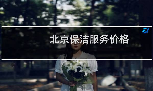 北京保洁服务价格 - 北京上门保洁多少钱