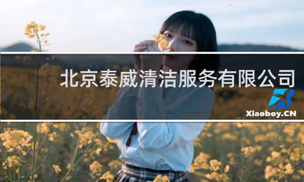 北京泰威清洁服务有限公司 - 北京泰威