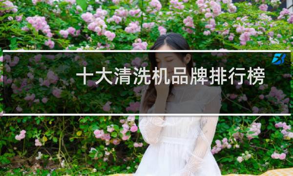 十大清洗机品牌排行榜 - 央视曝光果蔬清洗机