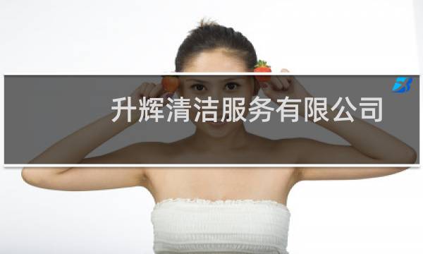 升辉清洁服务有限公司 - 广州市升辉清洁公司老总
