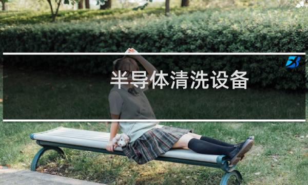 半导体清洗设备 - 半导体清洗设备的核心技术