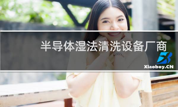 半导体湿法清洗设备厂商 - 中国半导体清洗设备公司排名