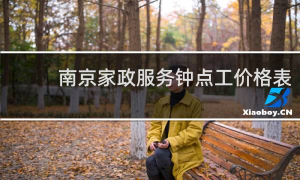 南京家政服务钟点工价格表 - 南京钟点工保洁多少钱一小时